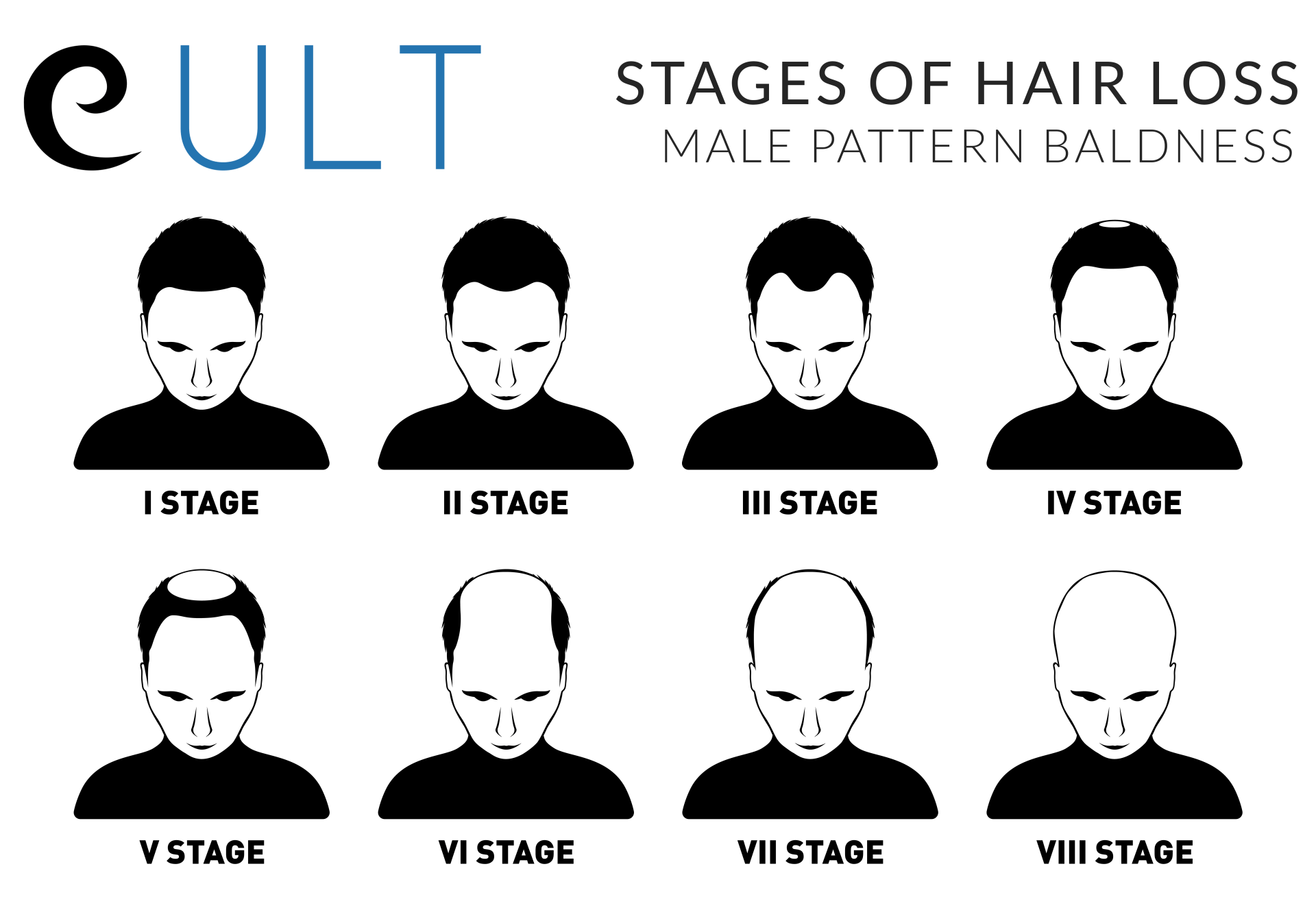 Stages Of Baldness